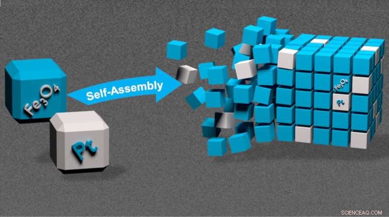 Creating 3‑D Binary Mesocrystals of Platinum and Magnetite: Synthesis and Structural Analysis