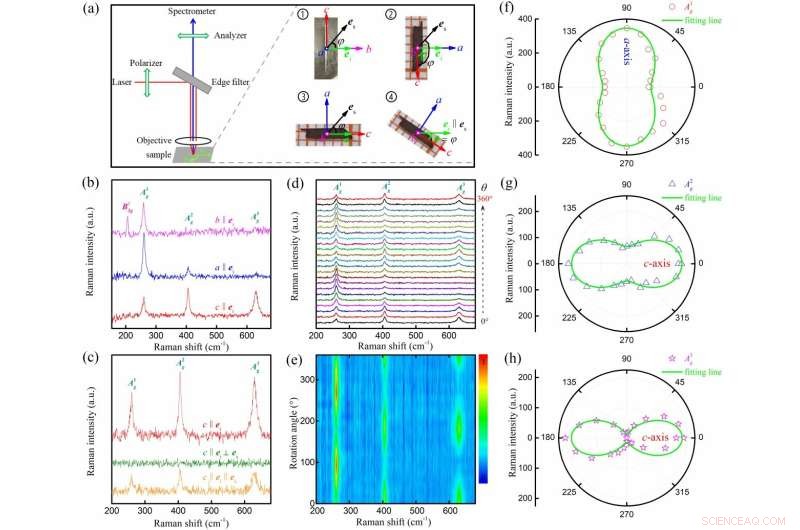 Breakthrough: MoAlB Single Crystal Exhibits Record 3D Electrical Anisotropy
