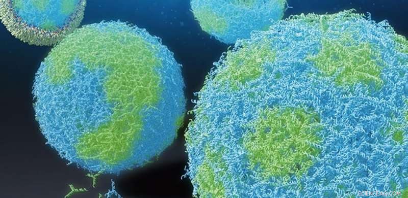 Engineering Capsule‑Shaped DNA Nanostructures for Advanced Artificial Molecular Systems