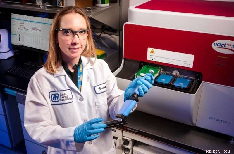 Advanced Neutralizing Antibodies: Innovative Countermeasures Against Emerging Viruses