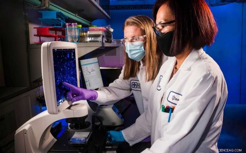 Advanced Neutralizing Antibodies: Innovative Countermeasures Against Emerging Viruses