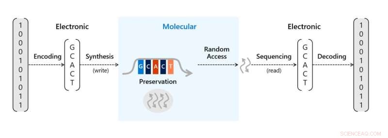 Revolutionizing DNA Data Storage: Enhancing Capacity with Nanoscale Electrode Wells