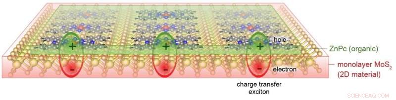 High-Temperature Bose–Einstein Condensation of Excitons in ZnPc/MoS₂ Heterostructures: A Predictive Study