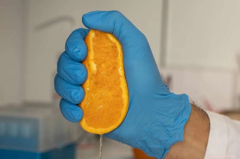 Revolutionary Nanobiosensor Uses Spoiled Orange Juice to Detect Cancer Early