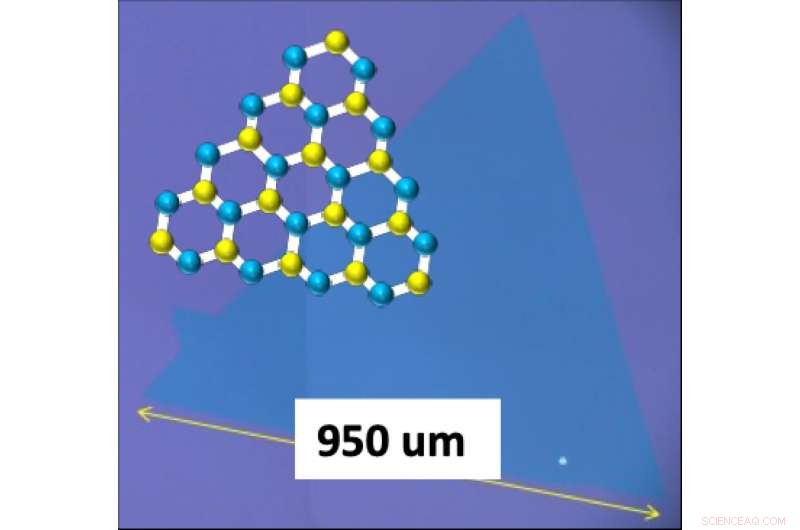 New Two-Step Mechanism Unveiled for High-Quality WS2 Monolayer Synthesis