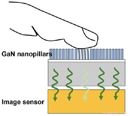 Mimicking Human Fingertip Sensitivity and Directional Sense for Advanced Robotics