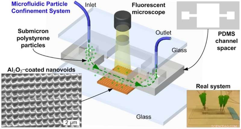 Egg‑Carton Patterning Secures Charged Nanoparticles for Precise Assembly Across Multiple Nanotech Applications