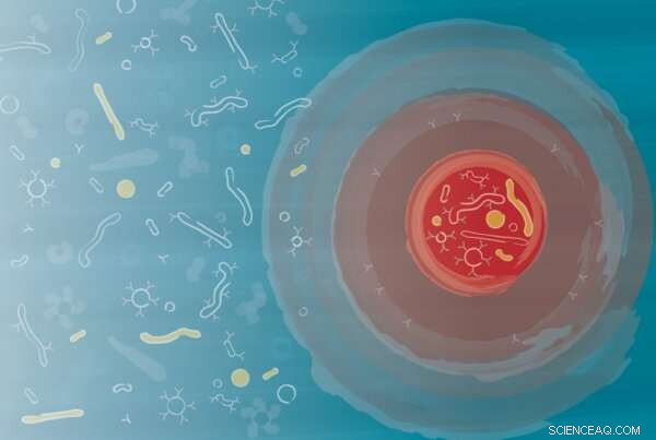 Harnessing Nanotechnology to Activate Immune Cells for Targeted Cancer Therapy