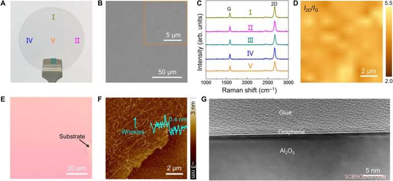 Wafer-Scale Production of Highly Oriented Graphene on Sapphire Substrates