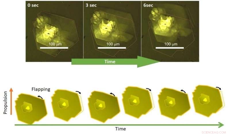 Mobile Molecular Robots Demonstrate Autonomous Swimming in Water