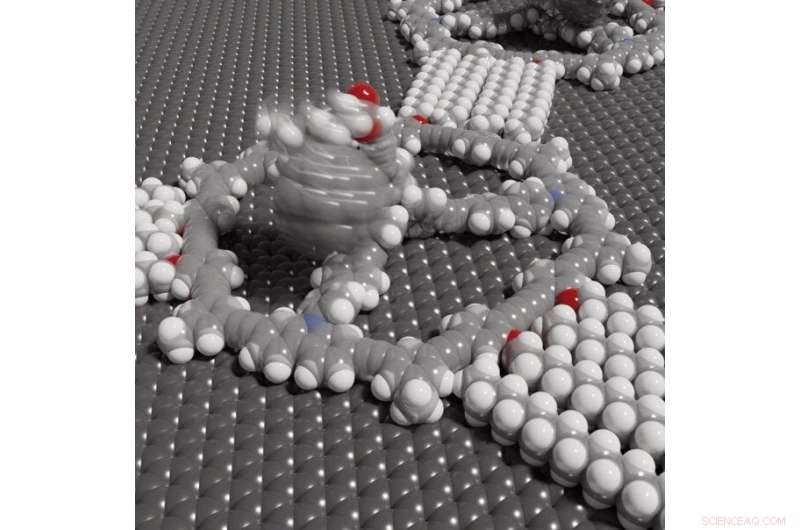 Bonn Chemists Engineer Flag‑Molecule Layer for Advanced Catalysts
