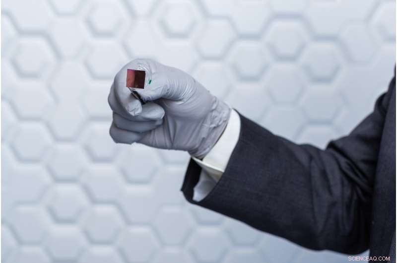 Silicon Nanochip Transforms Skin Tissue into Blood Vessels and Nerve Cells—A Breakthrough in Regenerative Medicine