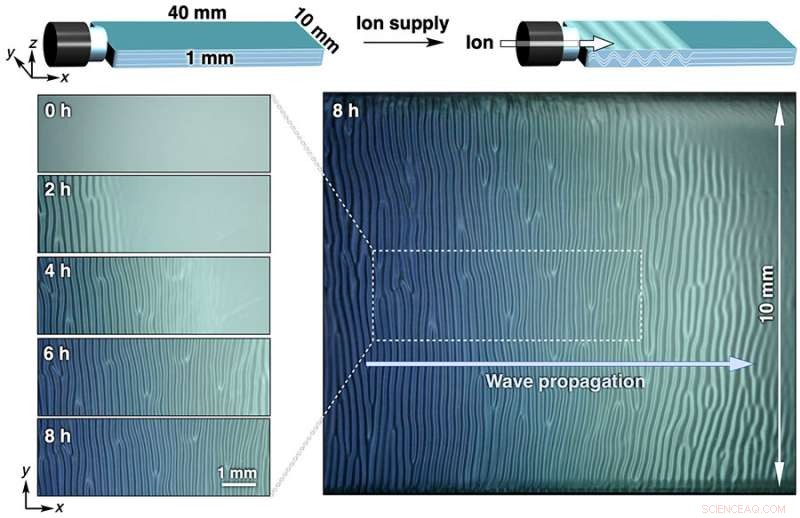 Coordinated Microscopic Movements: Pioneering Macroscopic Device Motion