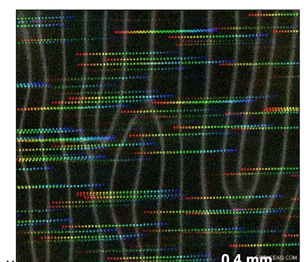 Coordinated Microscopic Movements: Pioneering Macroscopic Device Motion