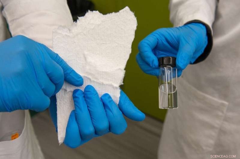 Innovative Plant Cellulose Process Recovers Rare Earth Elements from E‑Waste