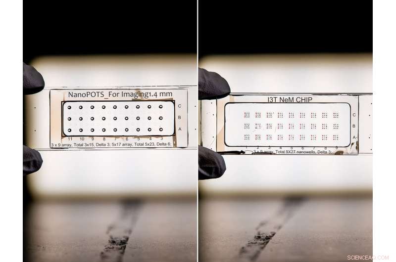 Nested NanoPOTS Chip Accelerates Single-Cell Cancer Research by 10×