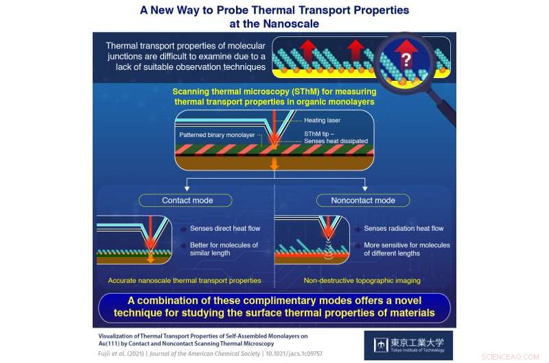 Visualizing Thermal Transport: An Innovative Technique for Nanoscale Characterization