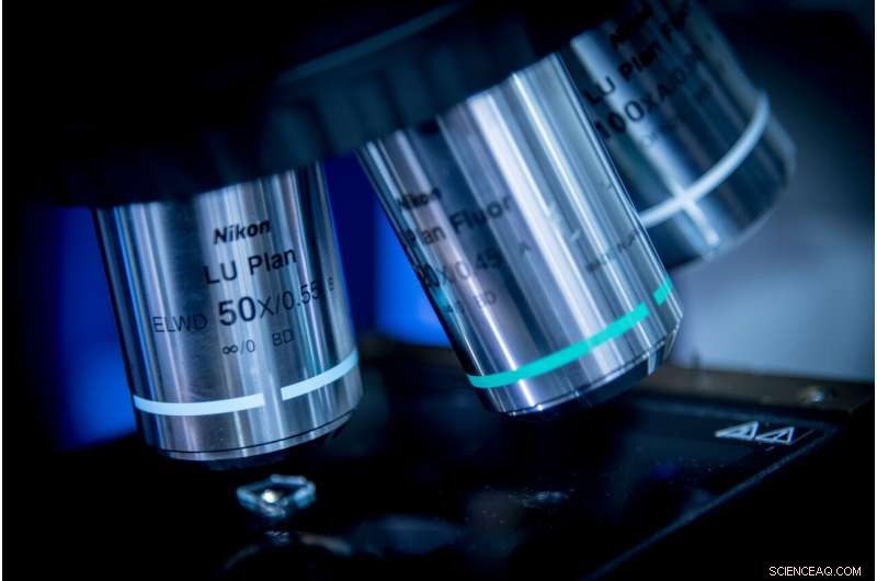 Lithography-Free Carbon Nanotube Arrays: A Simple, Reliable Approach to High-Performance Nanostructures