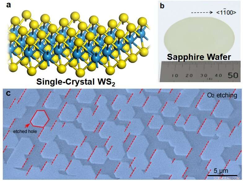 Ultra‑Large Single‑Crystal WS₂ Monolayer on Sapphire: Advancing Post‑Silicon Electronics