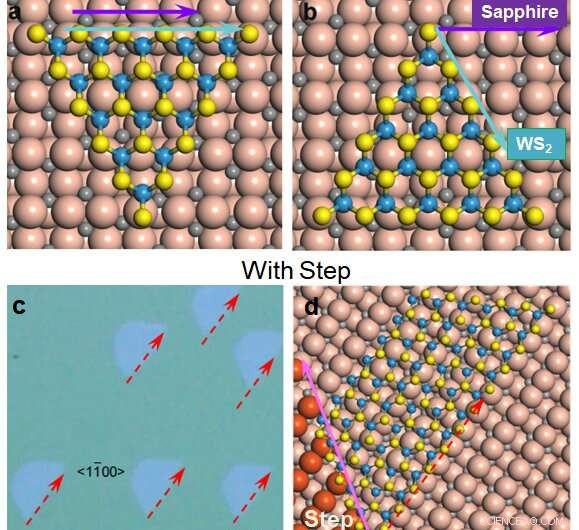 Ultra‑Large Single‑Crystal WS₂ Monolayer on Sapphire: Advancing Post‑Silicon Electronics
