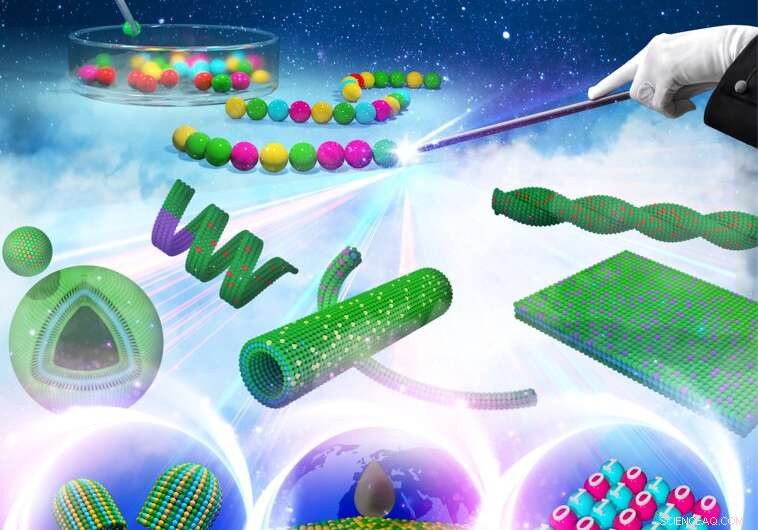 Bio-Inspired Nanomaterials: Engineering Nature’s Blueprints for Advanced Applications