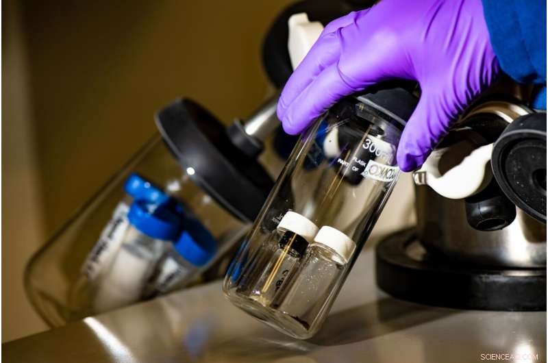 Bio-Inspired Nanomaterials: Engineering Nature’s Blueprints for Advanced Applications