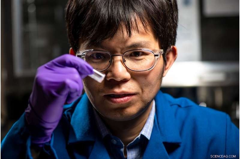 Bio-Inspired Nanomaterials: Engineering Nature’s Blueprints for Advanced Applications