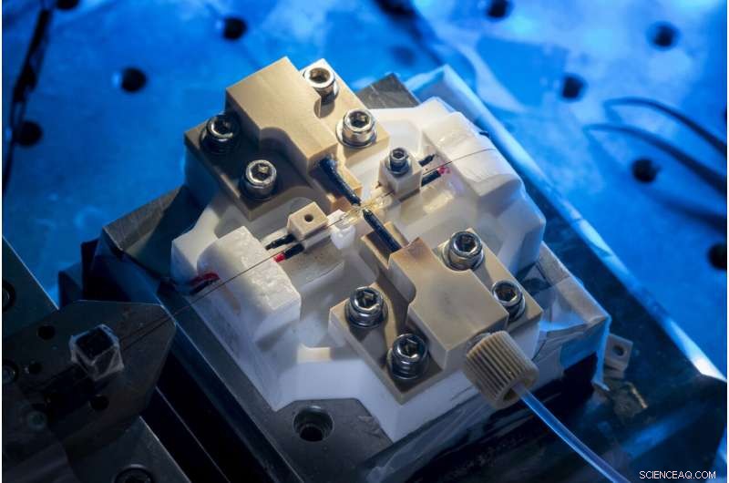 Revolutionary Resonator Detects Ultra‑Tiny Nanoparticles with Unmatched Precision