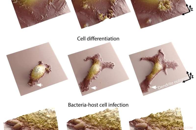 EPFL Researchers Unveil Live-Cell Imaging Breakthrough