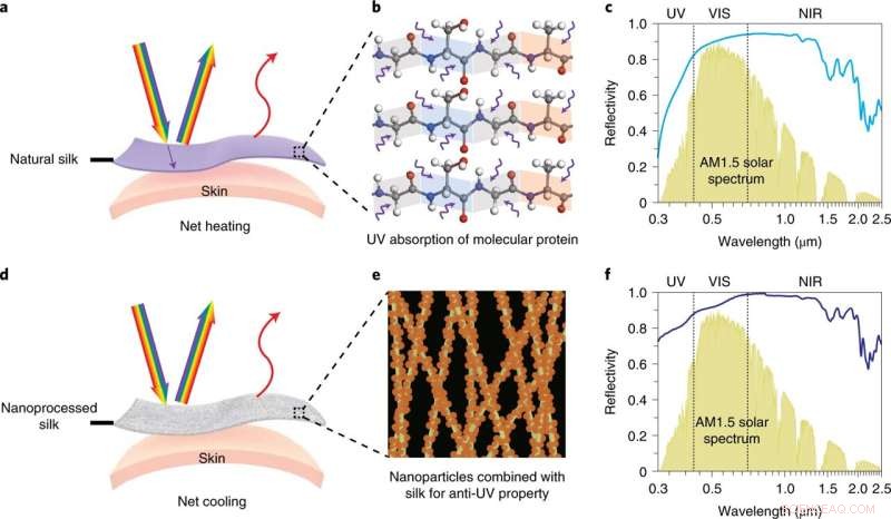 Revolutionary Silk Fabric Beats Cotton, Keeping Skin Cooler in the Heat