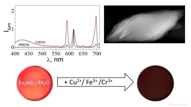 Scientists Develop Ultra-Small Nanoparticles for Precise Detection of Heavy Metal Ions in Water