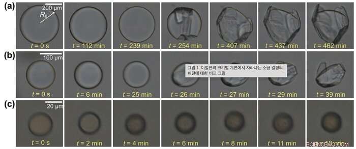 Self-Assembling Nanoscale Salt-Crystal Spheres Encapsulate Liquids