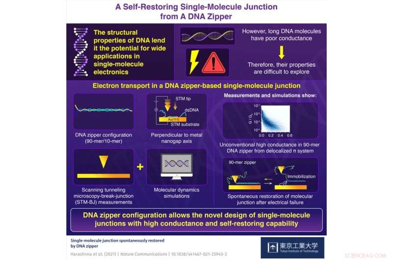 Self-Restoring DNA Electronics: Long-Molecule Devices Achieve Unprecedented Conductivity