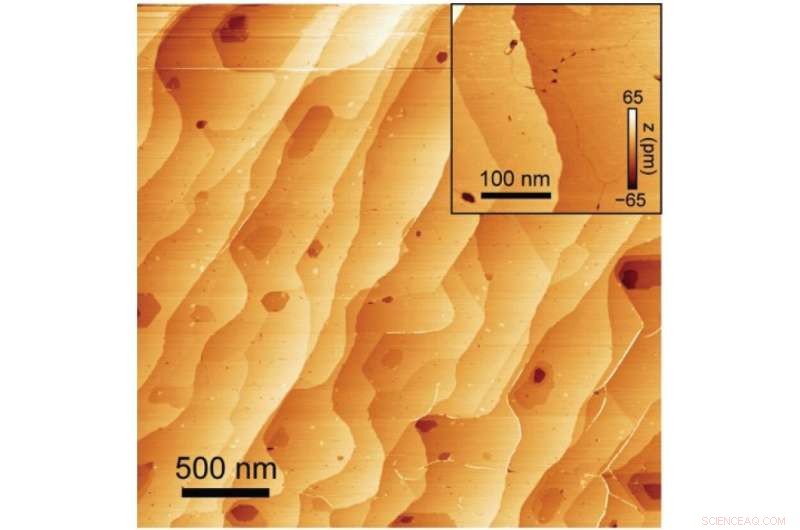 Spintronics: Unveiling Exotic Ferromagnetic Order in 2D Materials