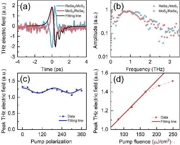 Scientists Reveal Ultrafast Dynamics in MoS₂/ReSe₂ Monolayer Heterostructures