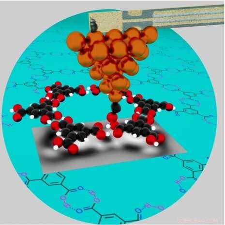 High‑Resolution AFM Imaging of Molecular Chemical Fingerprints