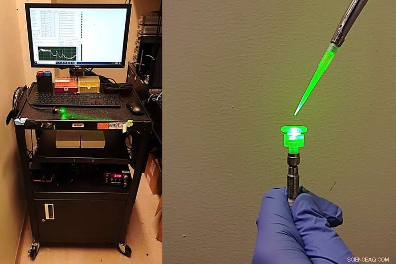 New Carbon Nanotube Sensor Detects SARS‑CoV‑2 Proteins in Minutes Without Antibodies