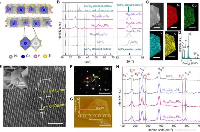 Scientists Reveal Ferromagnetism Arising from Defects in Correlated 2D Materials