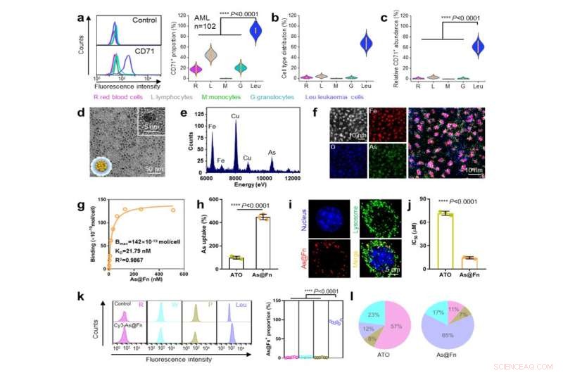 Ferritin Nanomedicine Delivers Targeted Arsenic to Leukemia Cells for Precision Therapy