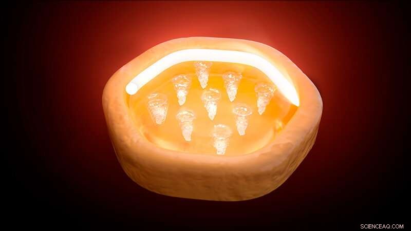 Purdue Breakthrough: Topological Circulator Uses Novel Graphene Phase for One-Way Chip Routing