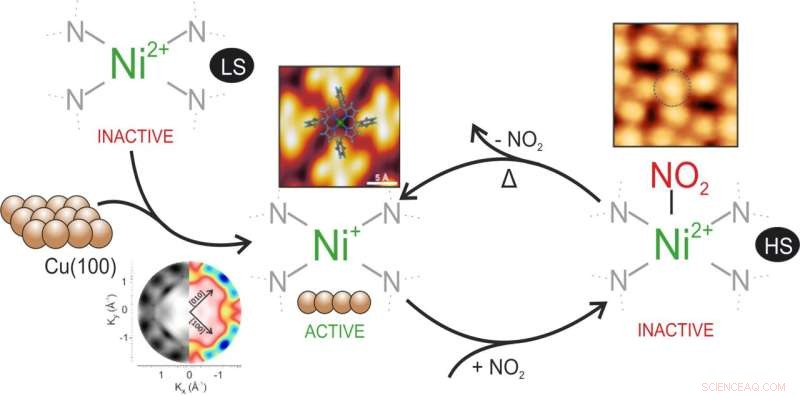 Harnessing Molecular Interfaces for Advanced Sensors and Data Storage Solutions