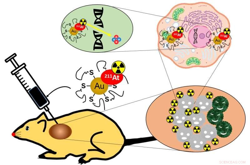 Precision Nanoparticle Therapy: Targeting Cancer Cells with Gold Nanoparticles