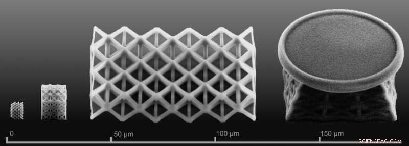 Rice University Engineers Produce 3D-Printed Nanoscale Silica Lattices