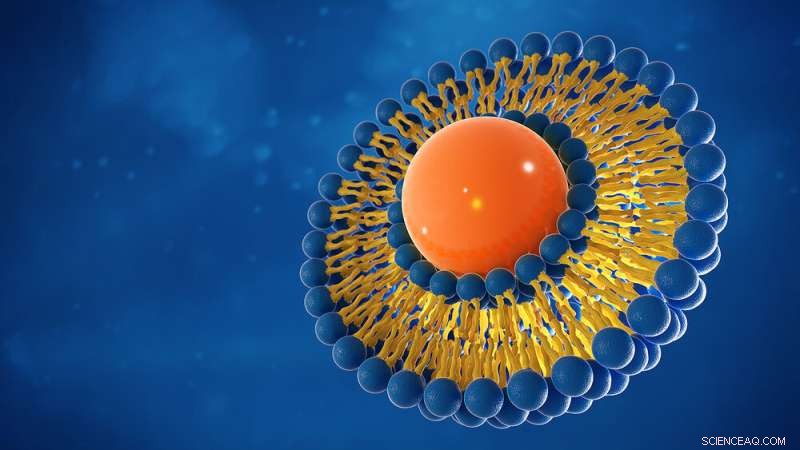 Designing DNA Nanorobots to Target and Manipulate Cell Membranes