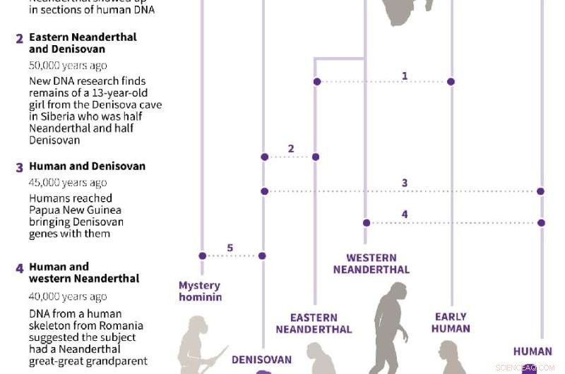 Svante Pääbo Awarded Nobel Prize in Medicine for Neanderthal Genome Breakthrough