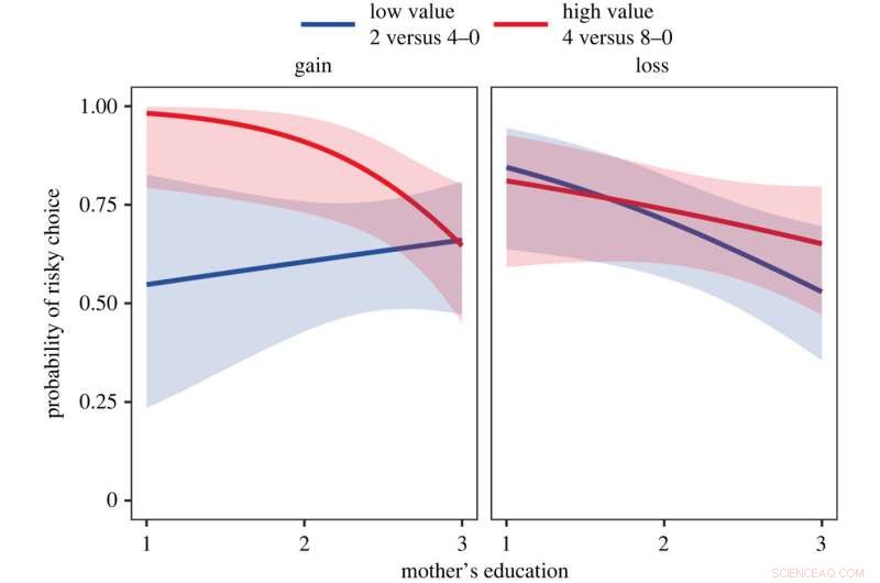Lower-Income Children Show Greater Risk-Taking Than Wealthier Peers, New Study Finds