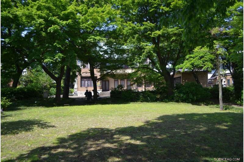 Tokyo’s Suburban Gardens Must Act Now to Mitigate Post‑Pandemic Tourism Overload