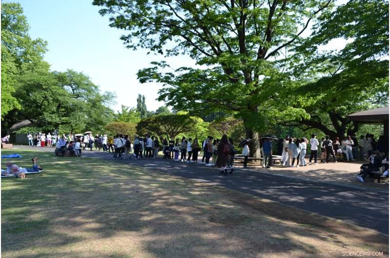 Tokyo’s Suburban Gardens Must Act Now to Mitigate Post‑Pandemic Tourism Overload