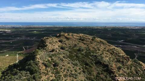 Bronze Age Communities in Iberia: Resistance to Emerging State Societies