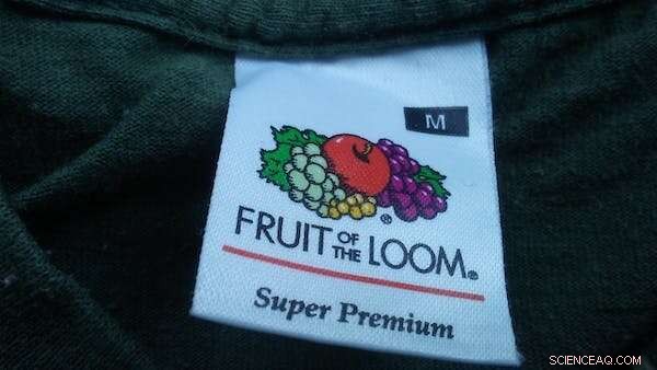 Groundbreaking Study Aims to Unravel the Mandela Effect—Shared False Memories Explained